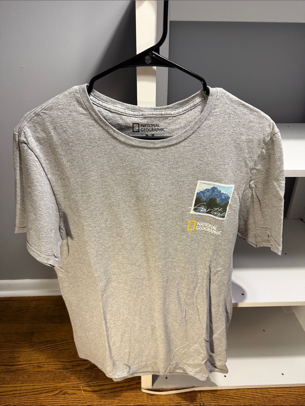 National Geographic Light Gray Mountain Chest Graphic Tee